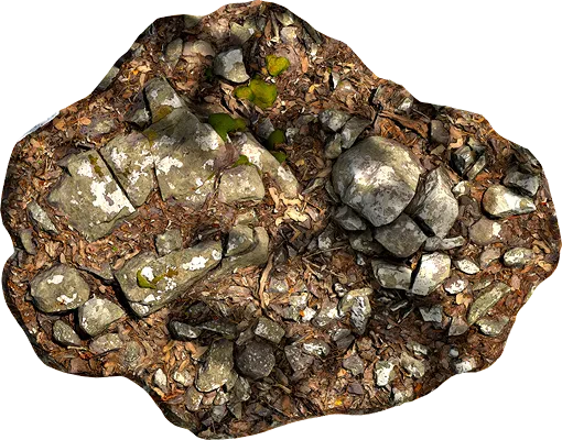 lichened rocky ground 006 — Скачать