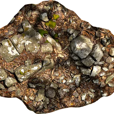lichened rocky ground 006 — Скачать