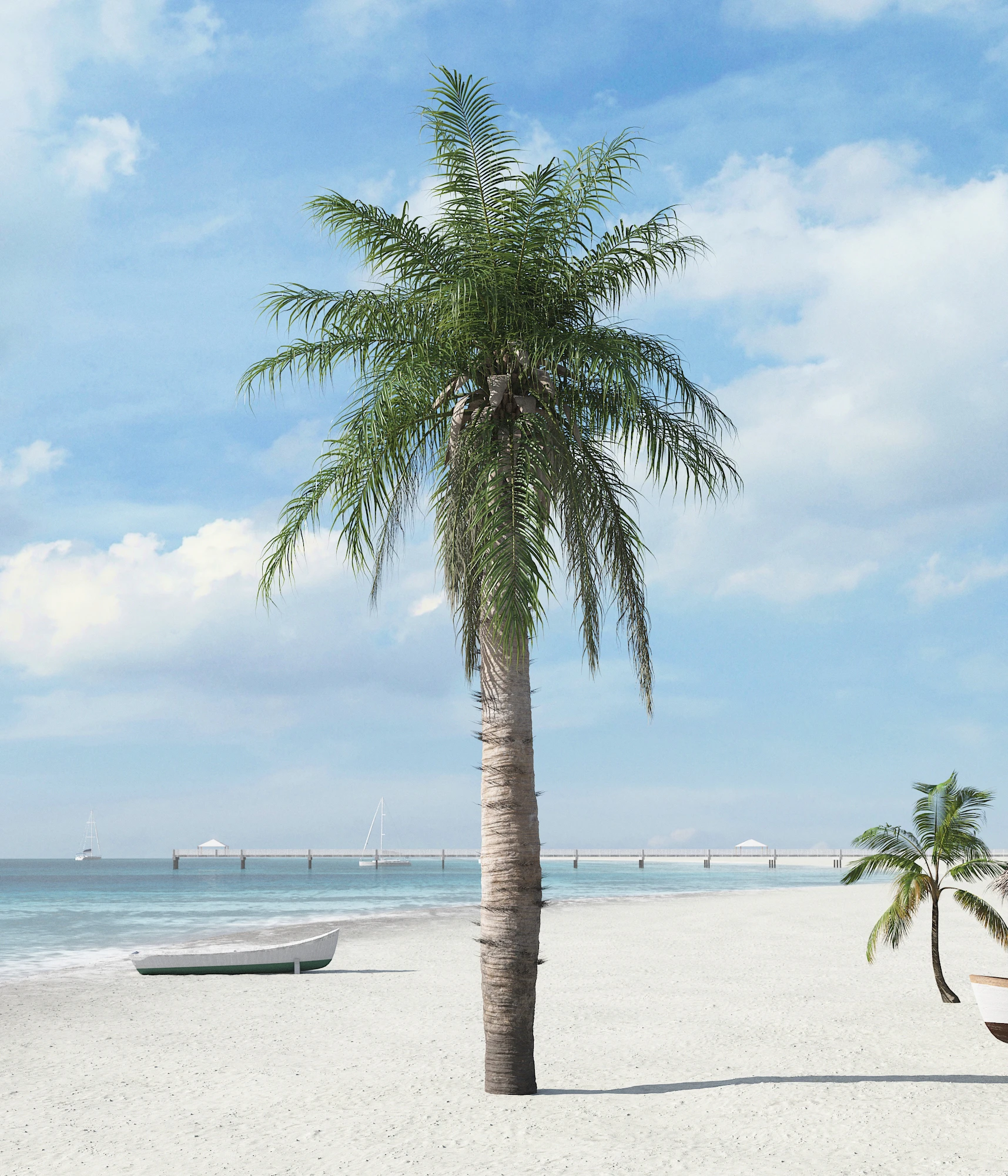 palm trees 023 — Descargar
