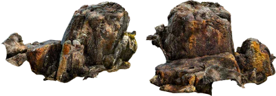 lichen rock 003 — Скачать