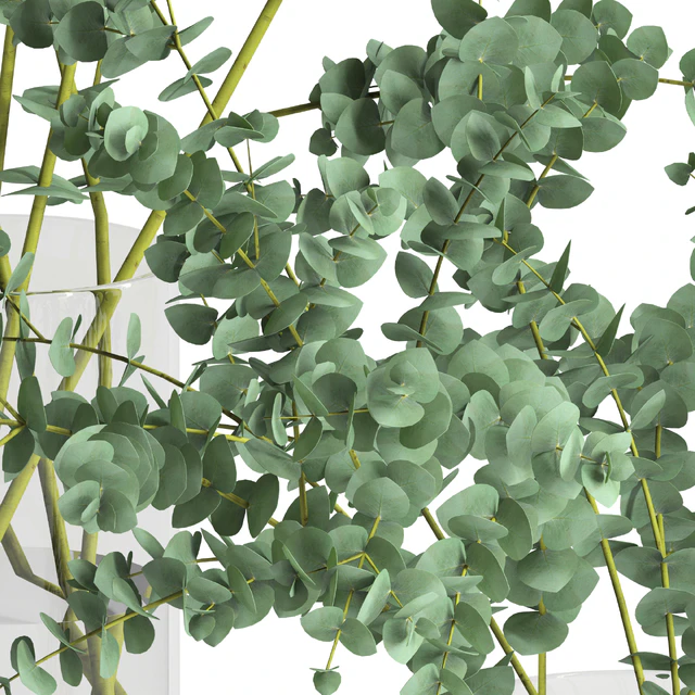 Eucalyptus Baby blue set — Download