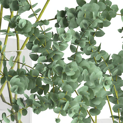 Eucalyptus Baby blue set — View 3
