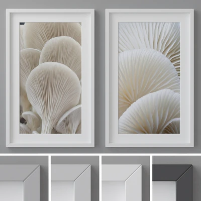 Photo Frames Set 260 — Descargar