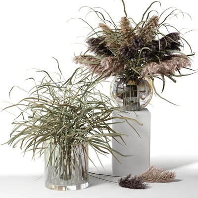 Dry herb bouquets in glass vases — Ver 1