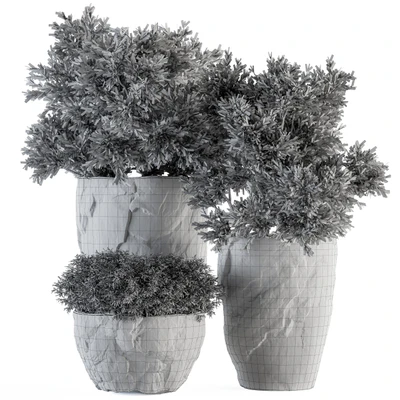 Outdoor Plants tree in Rock Pot - Set 136 — Вид 3