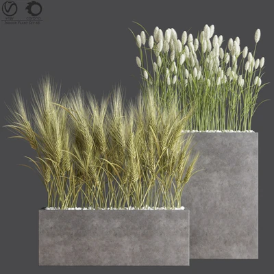 Indoor Plant Set 66 — скачать