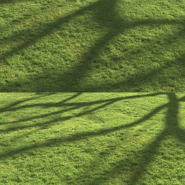 Flat grass — Скачать