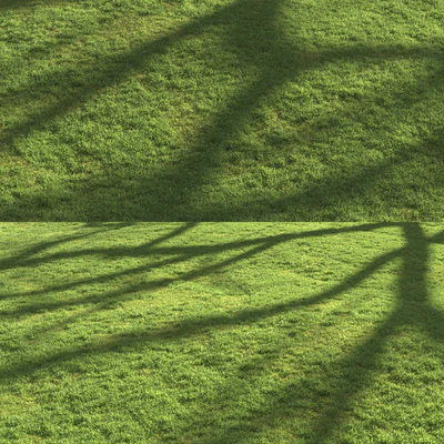 Flat grass — Вид 3