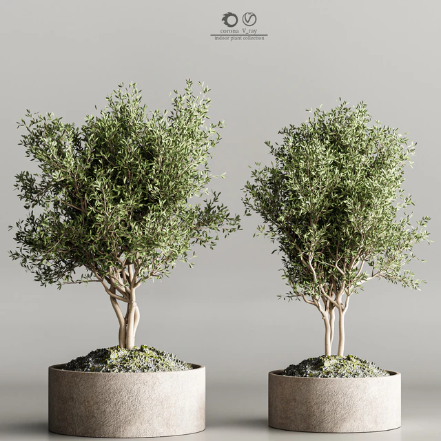 indoor plant stand 61 — Descargar