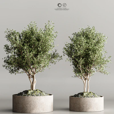 indoor plant stand 61 — Ver 2