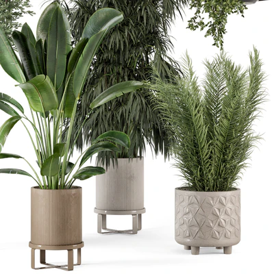 Indoor Plants in Ferm Living Bau Pot Large - Set 474 — Ver 2