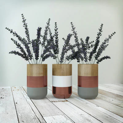 Vases with Lavender — Descargar