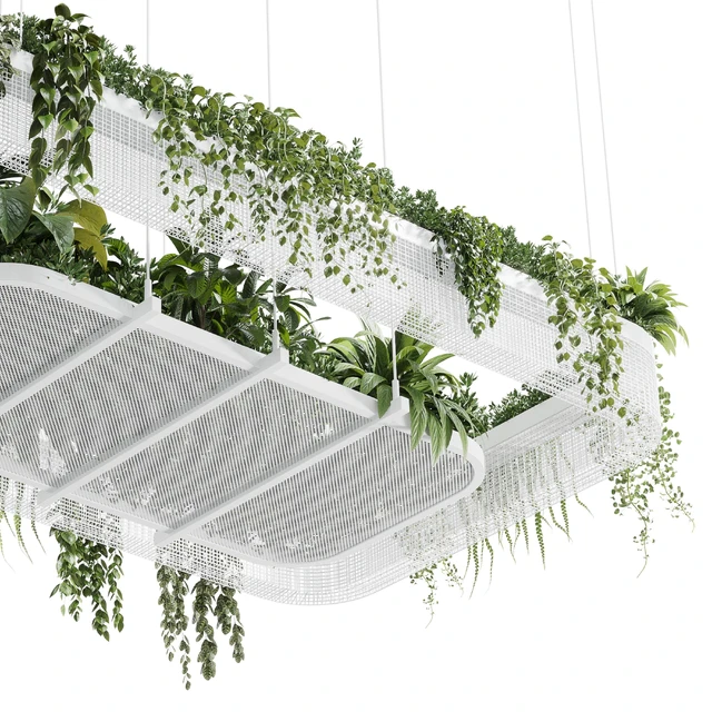 Hanging plants - indoor plant 323 corona — Descargar
