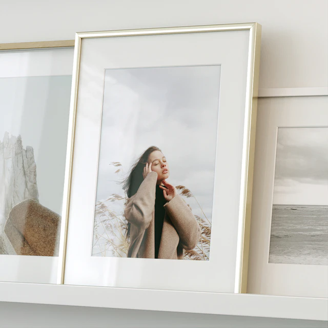 Family photos on the shelves — Descargar