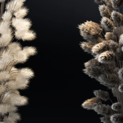 Bouquet of dried flowers. 2 models — Ver 2