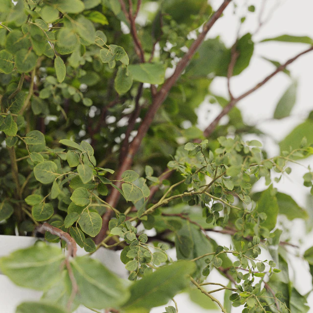Plants Bouquets 07 — Descargar