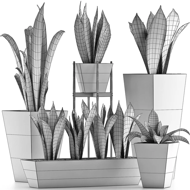 Plants Collection 29 — Descargar