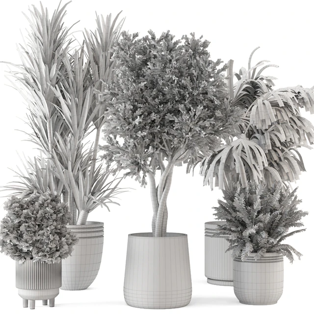 Indoor Plants in Ferm Living Bau Pot Large - Set 817 — Скачать