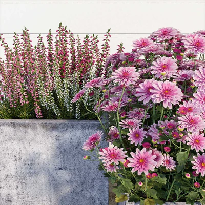 Street flowers — Ver 2