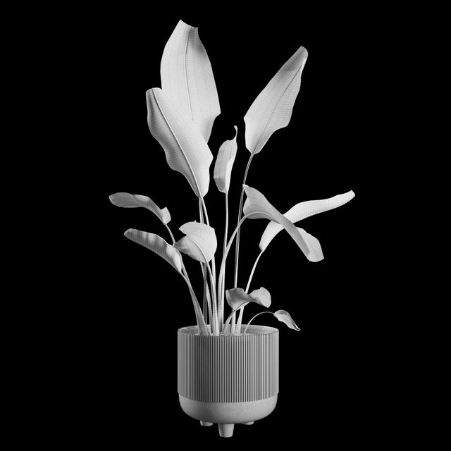 Indoor Plants Set 04 — Descargar
