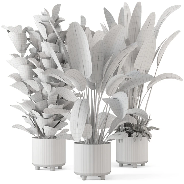 Indoor Planters in Cecilia Ficonstone Pot - Set 409 — Скачать