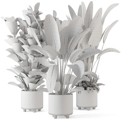 Indoor Planters in Cecilia Ficonstone Pot - Set 409 — Вид 2