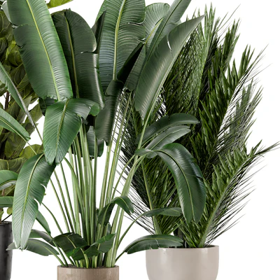 Indoor Plants in Ferm Living Bau Pot Large - Set 273 — Ver 2