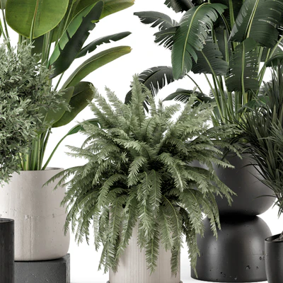 Indoor Plants in rusty Concrete Pot - Set 1167 — Ver 2