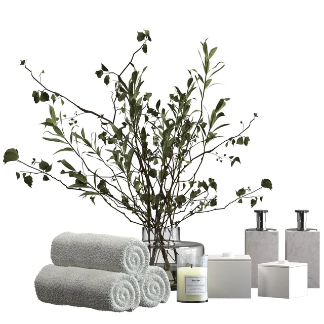 Decorative bathroom set with a bouquet of branches — Descargar