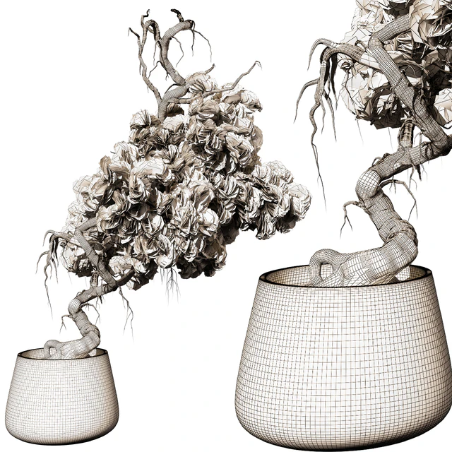 indoor Plant 246 — Descargar