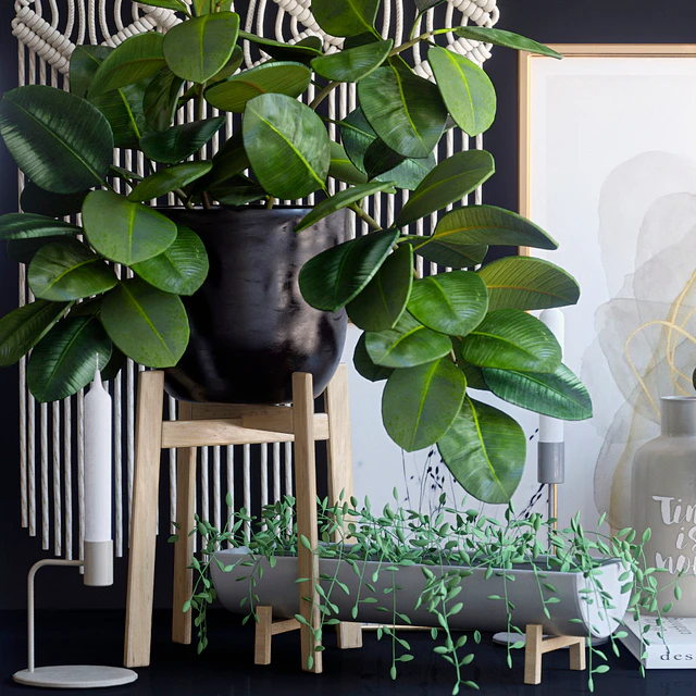 Decorative set 16 — Descargar