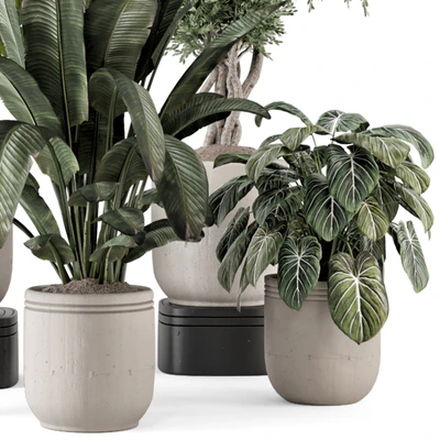 Indoor Plants in rusty Concrete Pot - Set 1286 — View 2