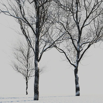 snow-covered trees — Ver 2