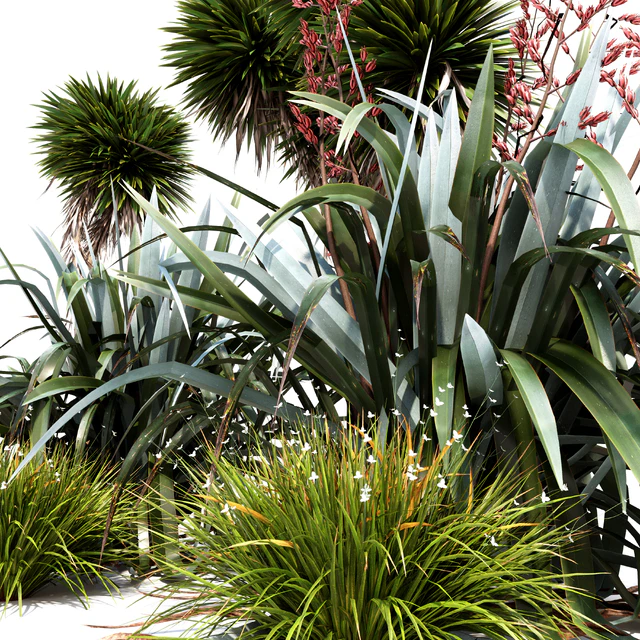 Oceania Plant Set — Скачать