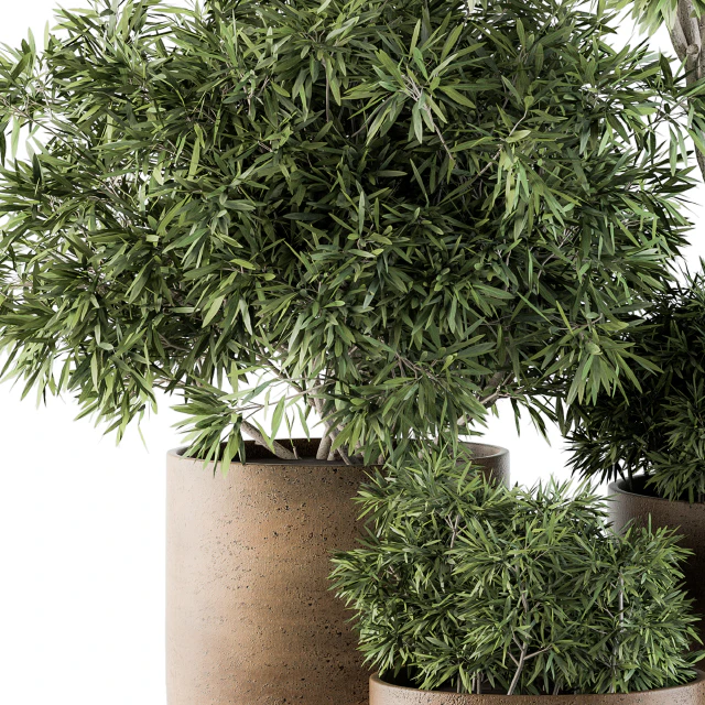 Outdoor Plants tree in Concrete Pot - Set 111 — Descargar