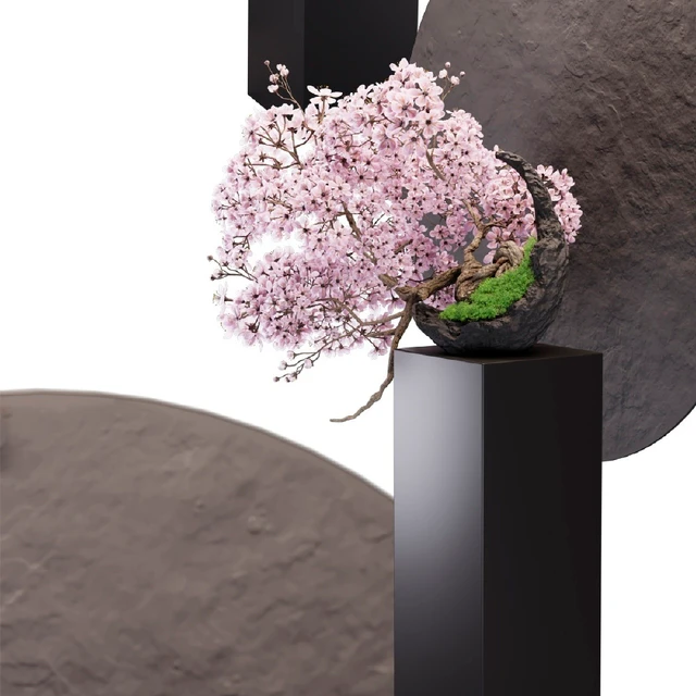 Bonsai sakura — Descargar