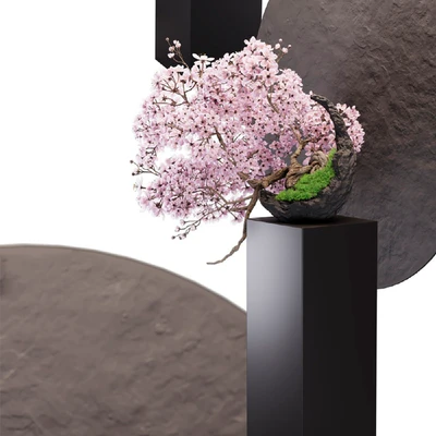 Bonsai sakura — Ver 3