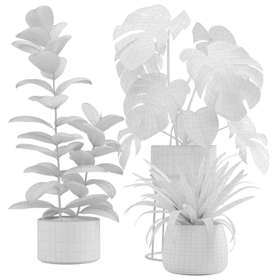 Indoor Plants Pack 15 — Ver 3
