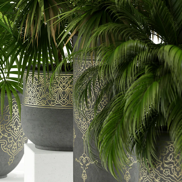 Plants collection 147 handmade pots East style — Descargar