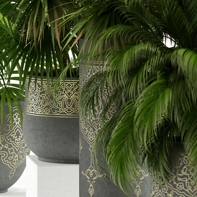 Plants collection 147 handmade pots East style — Ver 2