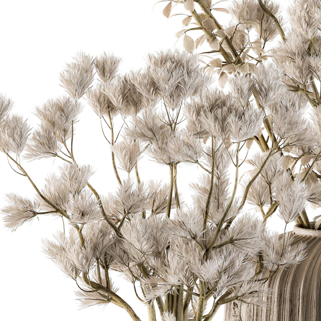 Bouquet Set 16 - Dried Plants — Descargar