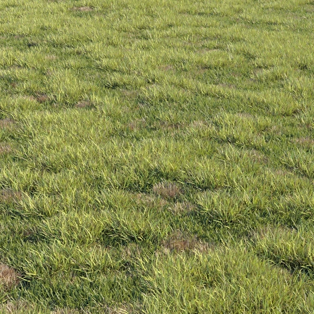 Grass kit 2 — Скачать