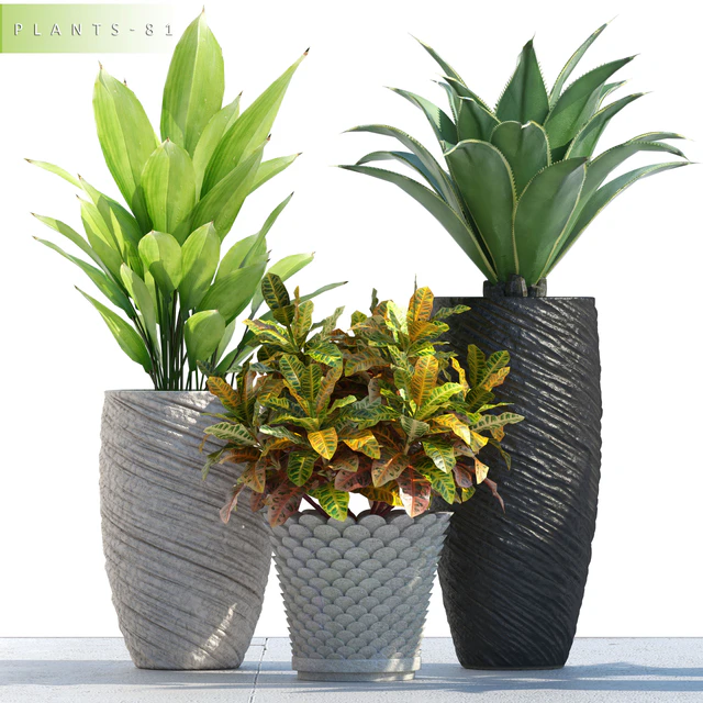 PLANTS 81 — Скачать