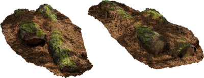 fallen pine tree 002 — Descargar