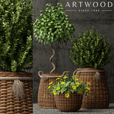Plants collection 65 — Ver 1