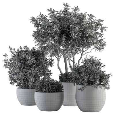 Outdoor Plants tree in Concrete Pot - Set 128 — Вид 3