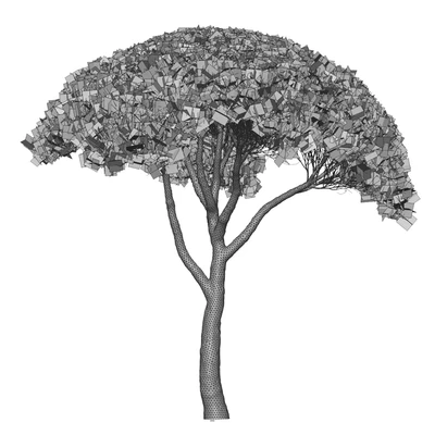 Pinus Pinea 13m and 12m — Ver 2