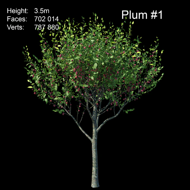 Plum — Descargar