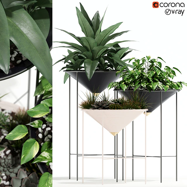 Plants collection 141 Artica — Descargar