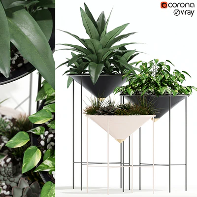 Plants collection 141 Artica — Ver 1